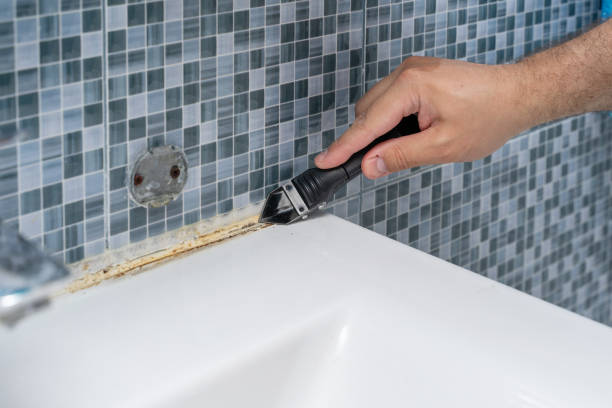 Best Emergency Mold Remediation in Woodlawn, MD