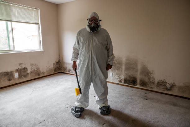 Best Mold Remediation for Specific Building Types in Woodlawn, MD